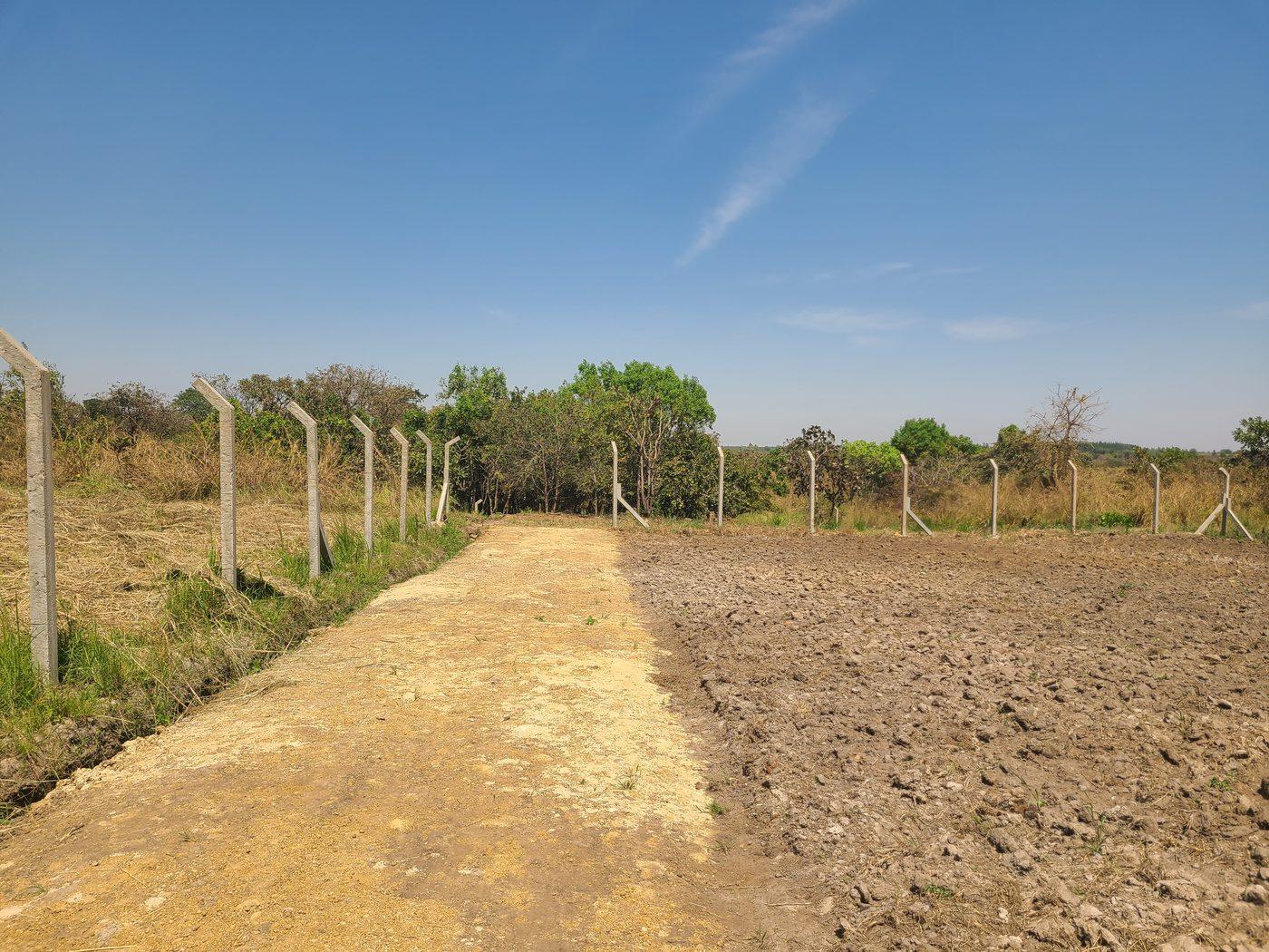 Compost and soil regeneration activity at Terraregen farm
