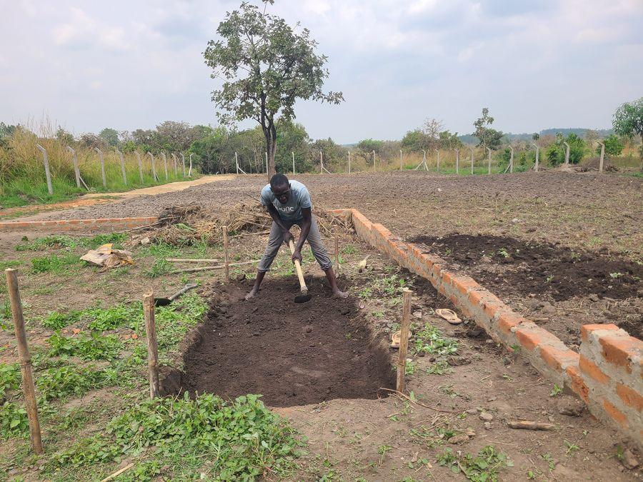 Compost and organic inputs