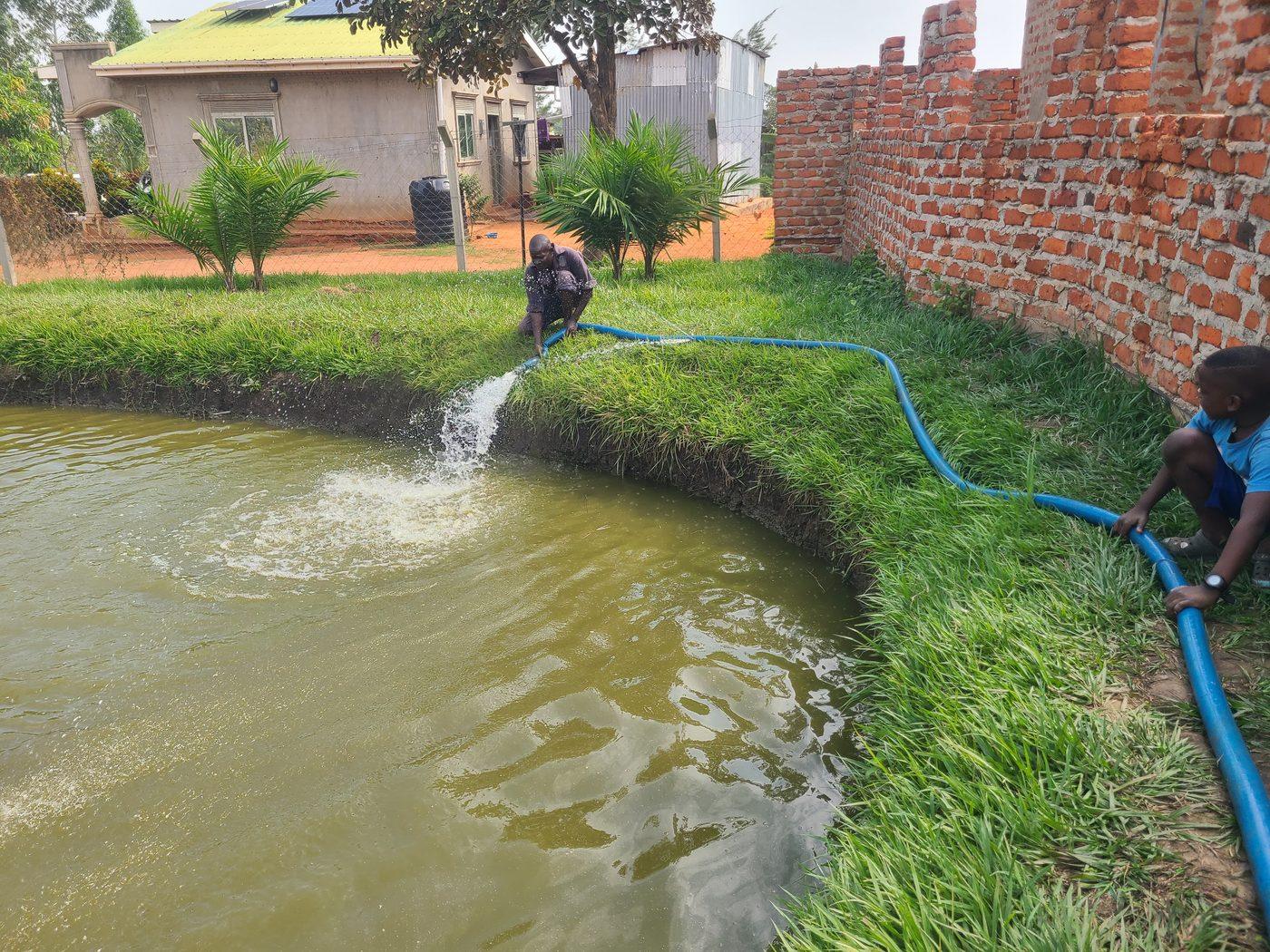 Integrated fish pond system at Terraregen