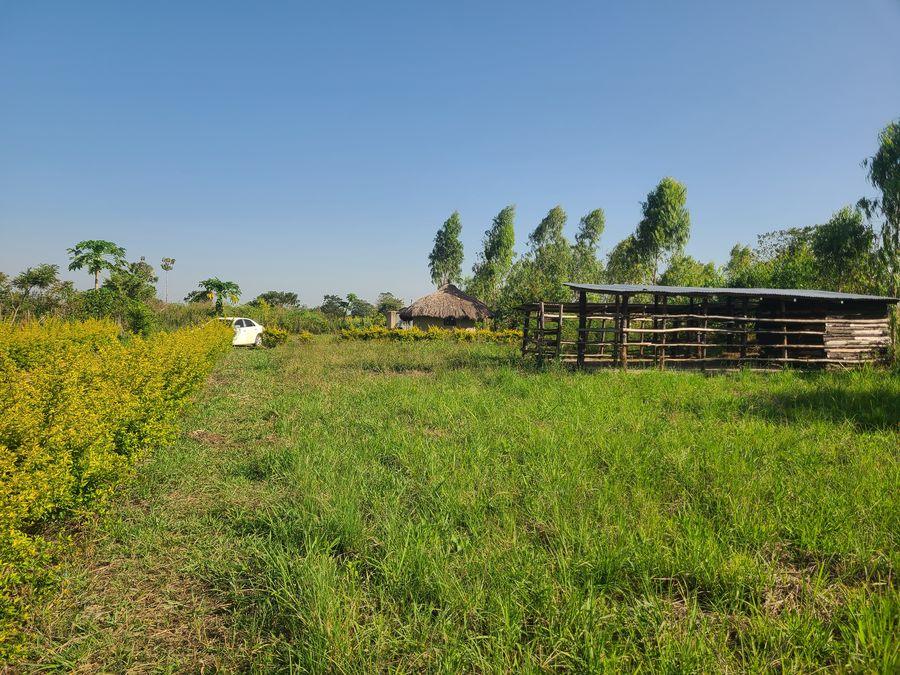 Goat enterprise and small livestock systems